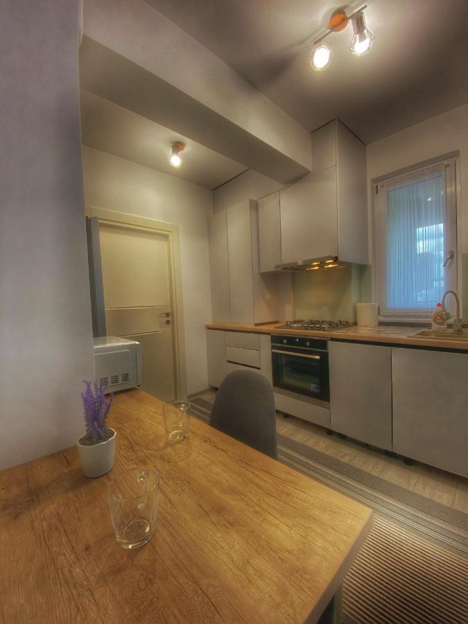 יאשי Homey Apartament 2 Rooms Palas Mall מראה חיצוני תמונה