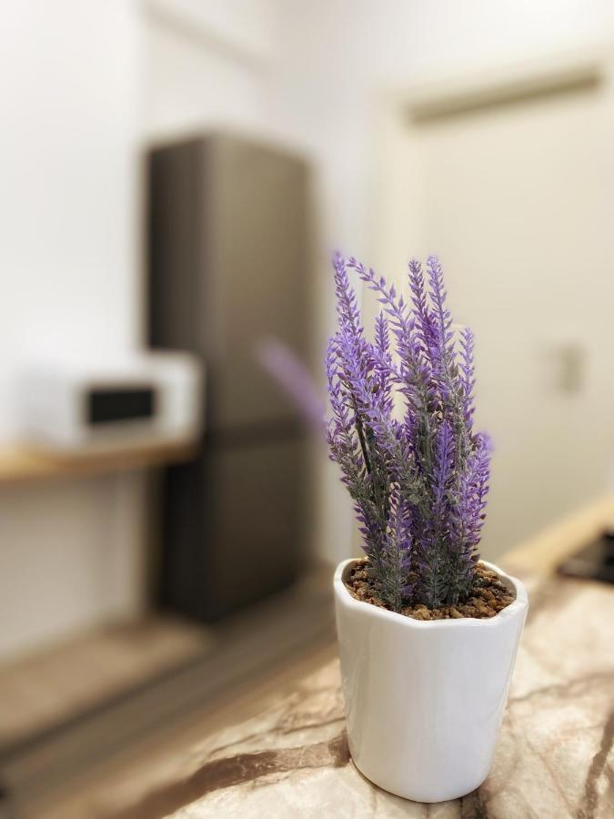 יאשי Homey Apartament 2 Rooms Palas Mall מראה חיצוני תמונה